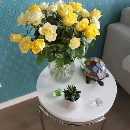 Appartcosy 50 M2 * Burdeos